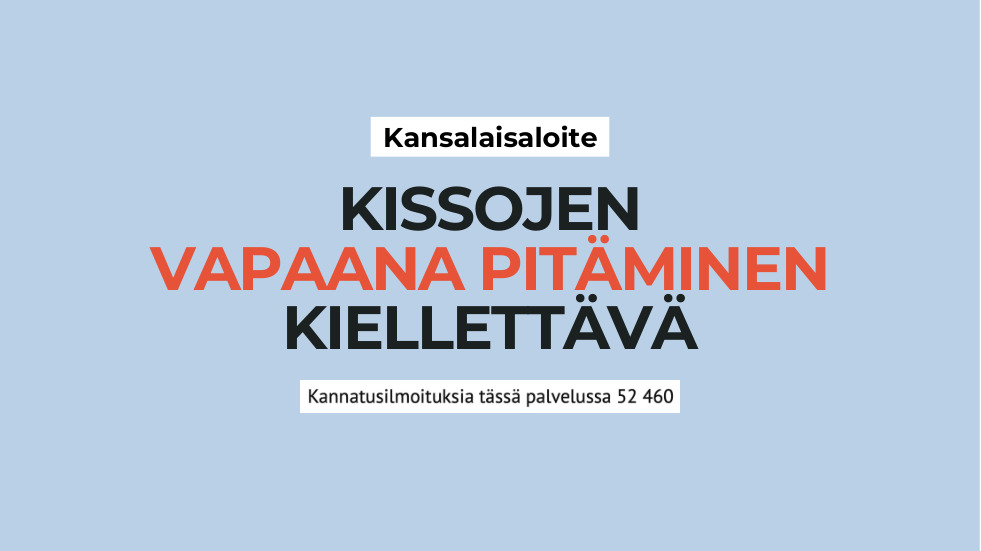 Videon vieressä näkyvä vaihtuva esityskuva