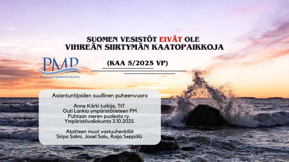 Videon vieressä näkyvä vaihtuva esityskuva